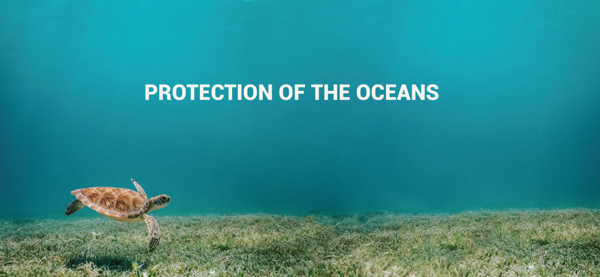 proteccion-oceanos-drylace-bioflush-la-pajarita-en