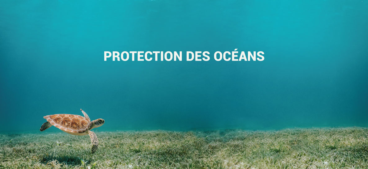 proteccion-oceanos-drylace-bioflush-la-pajarita-fr