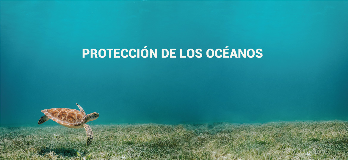 proteccion-oceanos-drylace-bioflush-la-pajarita